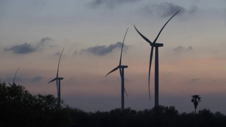 ESG funds are missing this key priority, UN says; plus, top wind power countries