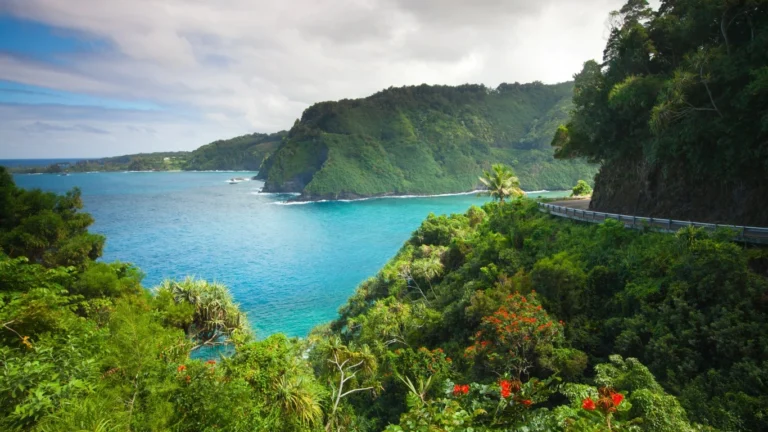 Hawaii’s coal withdrawal will set early U.S. example on transition risk