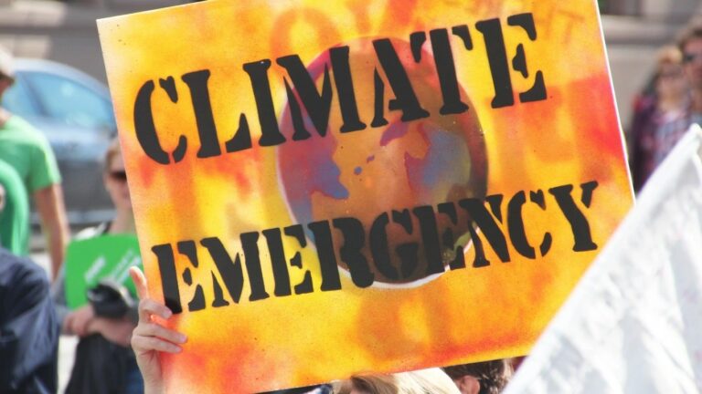 Why the spurt in climate protests is happening, and will it help or hurt?