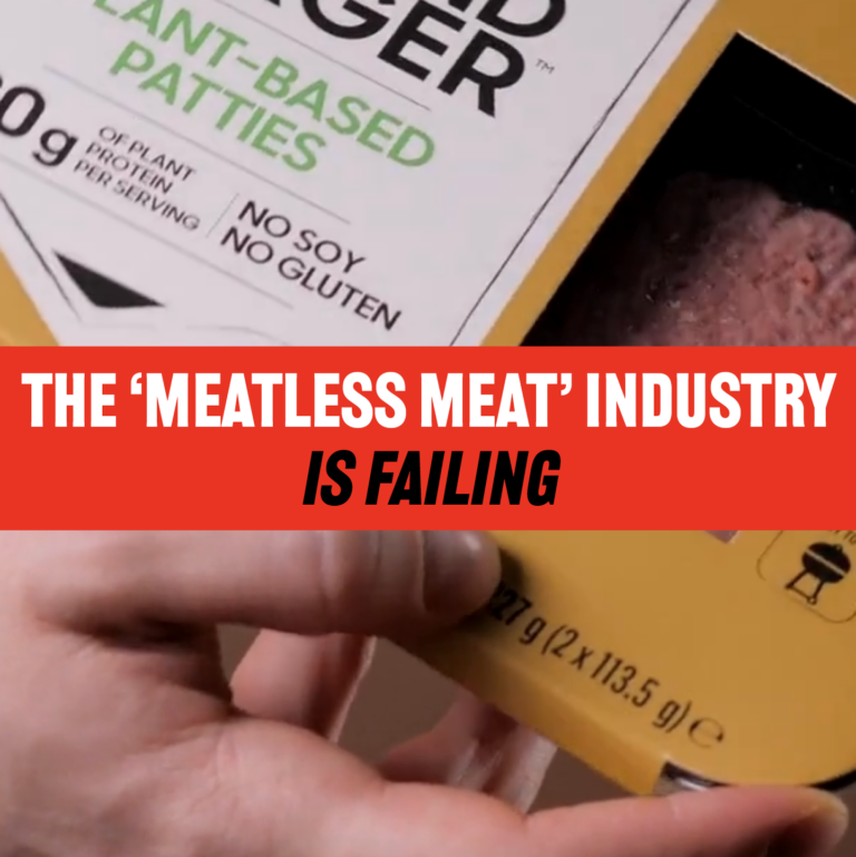 The ‘Meatless Meat’ Industry Is Failing