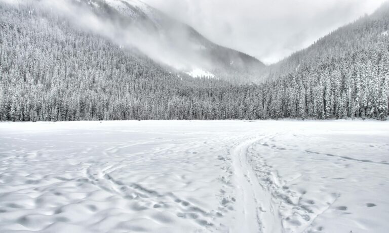 Climate Crisis AM Edition  1.19.24 US Snow Disappears