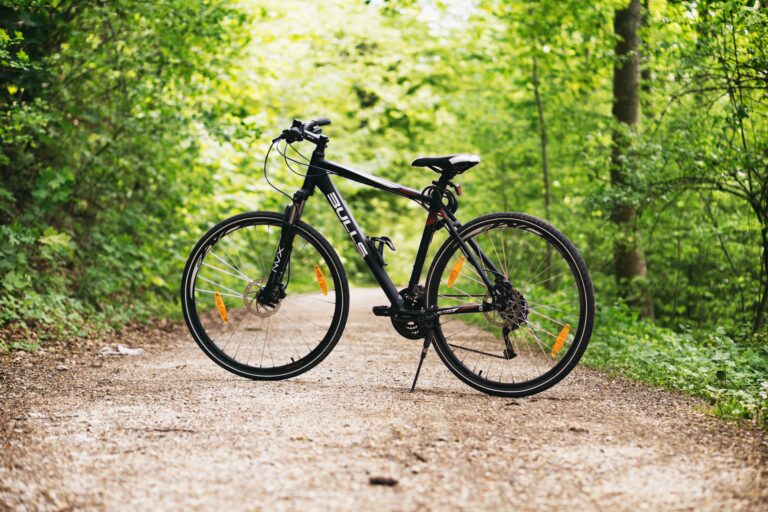 Climate Crisis AM Edition 1.31.24  Bikes Instead Of Trains