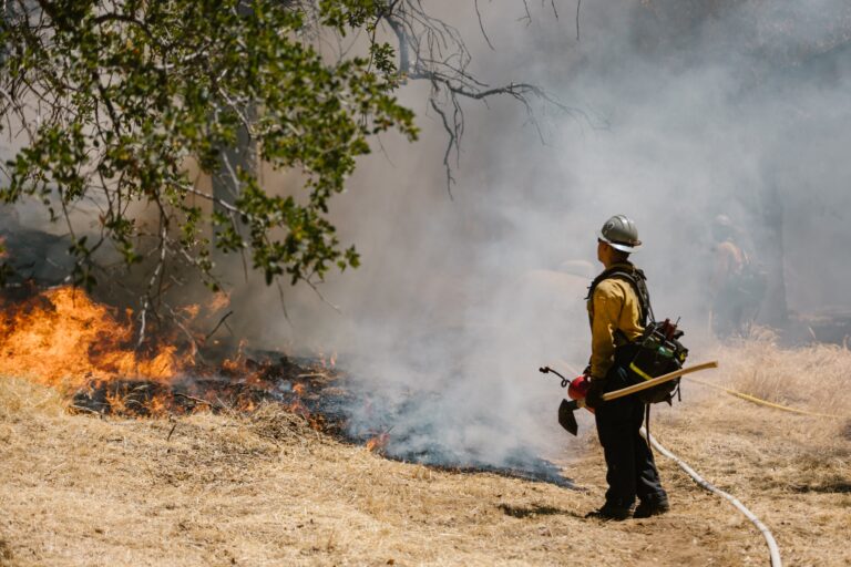 Even In February, Wildfires Don’t Go Away