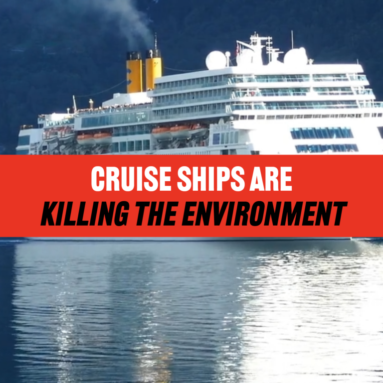 Cruise Ships Are Killing The Environment
