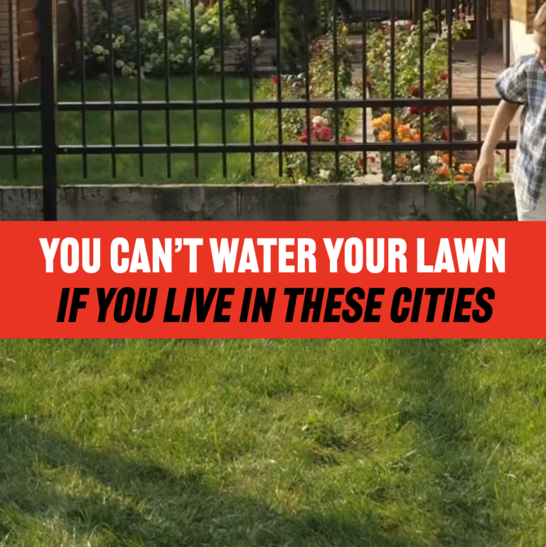 You Can’t Water Your Lawn If You Live In These U.S. Cities