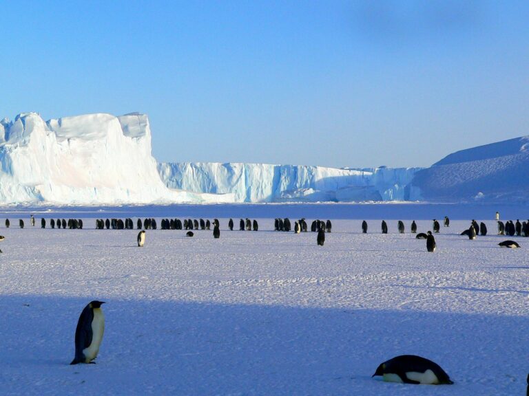 Coldest Place In The World  Climate Crisis AM Edition 3/20/24