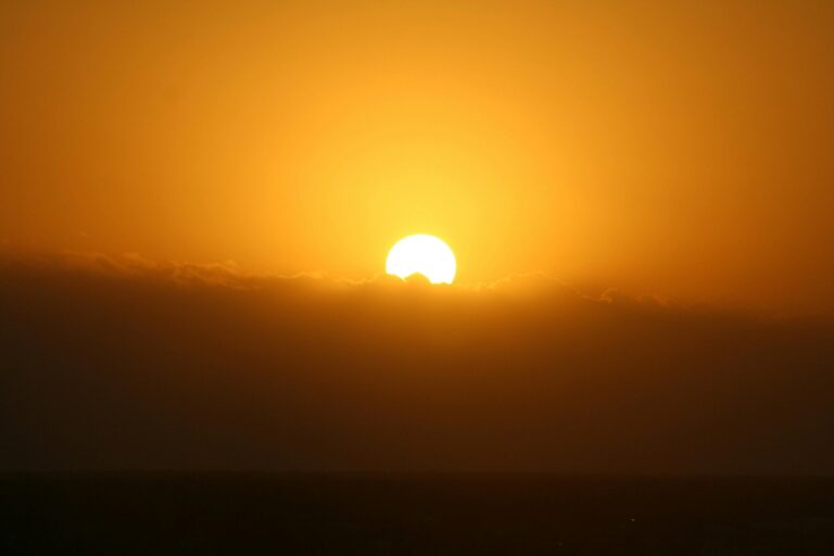 Global Temperature Likely To Set Another Record In 2024
