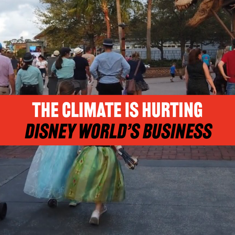 The Climate Is Hurting Disney World’s Business