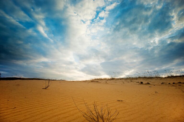 California Is Finally Drought Free