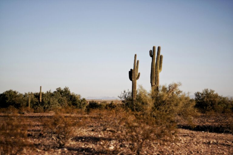 Texas And New Mexico Expected To Boil This Summer