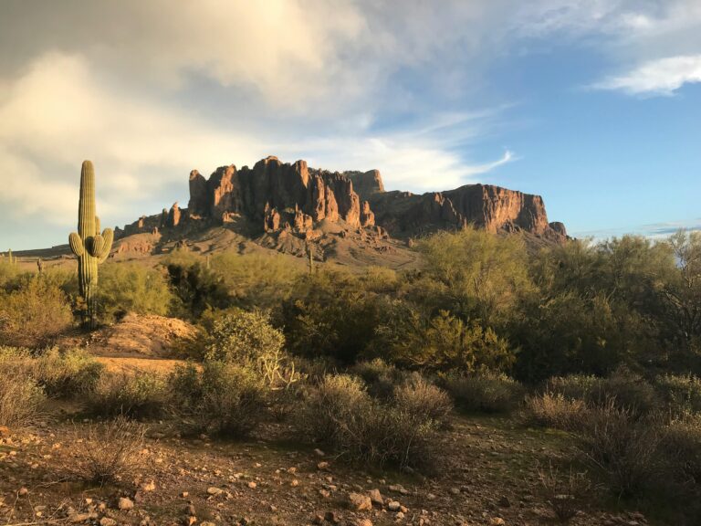 Phoenix Area Heat Causes 175 Deaths