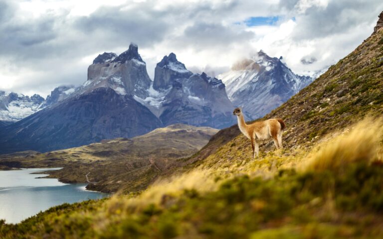 Millions Threatened In Andes –Most Important Climate News   7.22.24