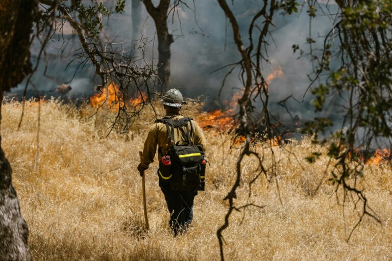 US Wildfires Burn 1.6 Million Acres