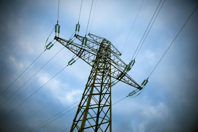 American Terrorists Could Attack US Power Grid