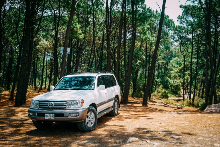 Longest Lasting Cars Are Gas Guzzler