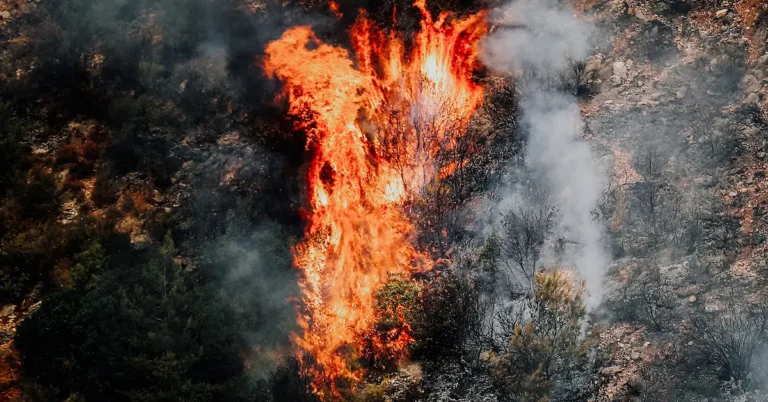 Underground Wildfires: A Growing Threat to Global Climate and Health