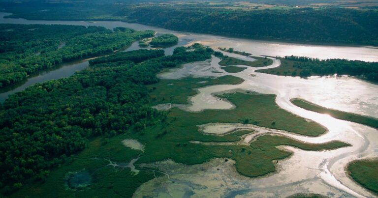 Mississippi River Drying Up: Climate Change Causes Major Shipping Disruptions