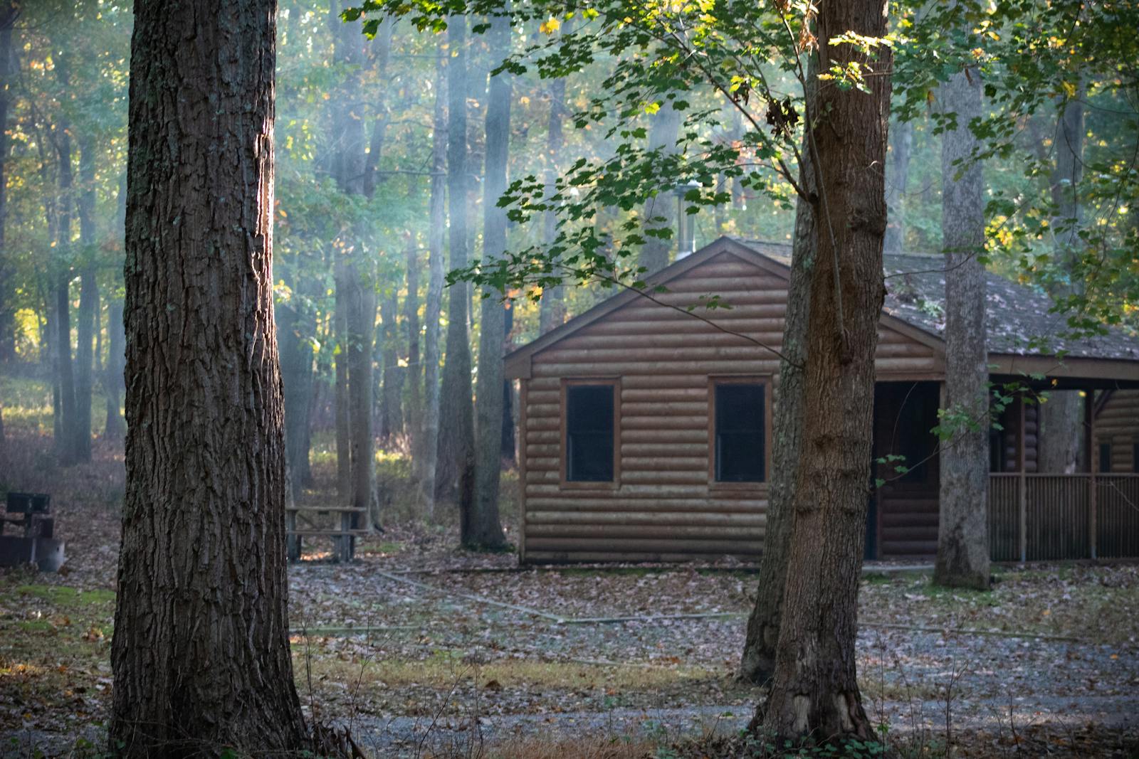 Brown Wooden House in the Woods