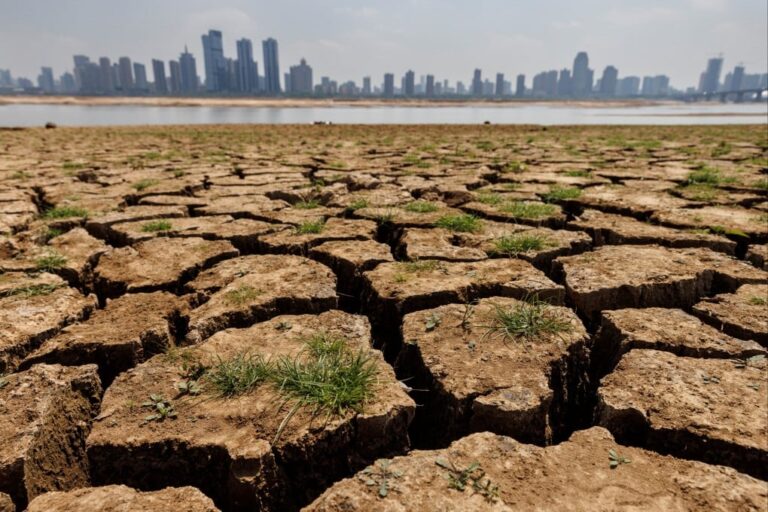 High and Dry: Sizzling temps and Rain shortfall leaves 77% of U.S. Facing drought