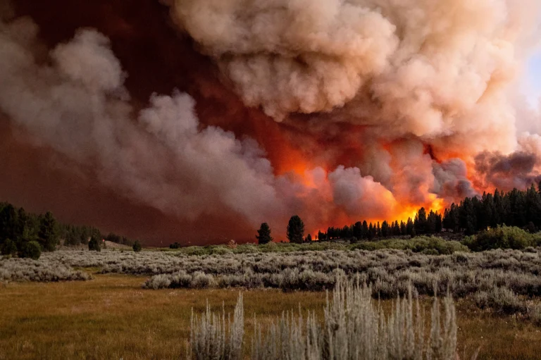 climate’s searing toll: Wildfire Smoke Deaths Surge by 12,000 in 2 decades