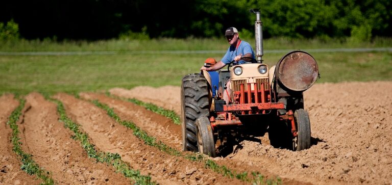 Another climate catastrophe? Half Of The World’s Food Production At Risk By 2050