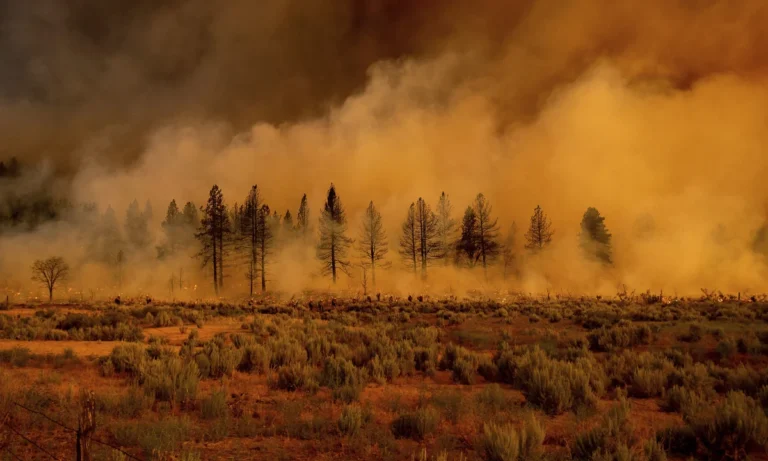 Bone-dry: Unprecedented Drought — and wildfires — slam Northeast U.S.