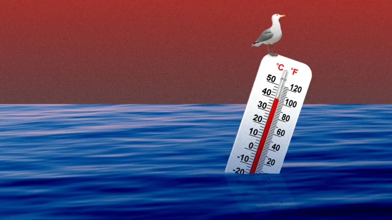 supercharged and Super-Scary: Warmer Oceans add new heft to Hurricanes