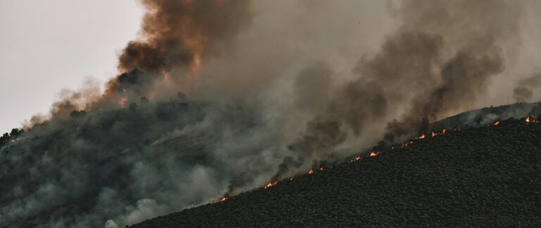 connecticut Conflagrations! Nutmeg State Wildfires Hobble Amtrak Services