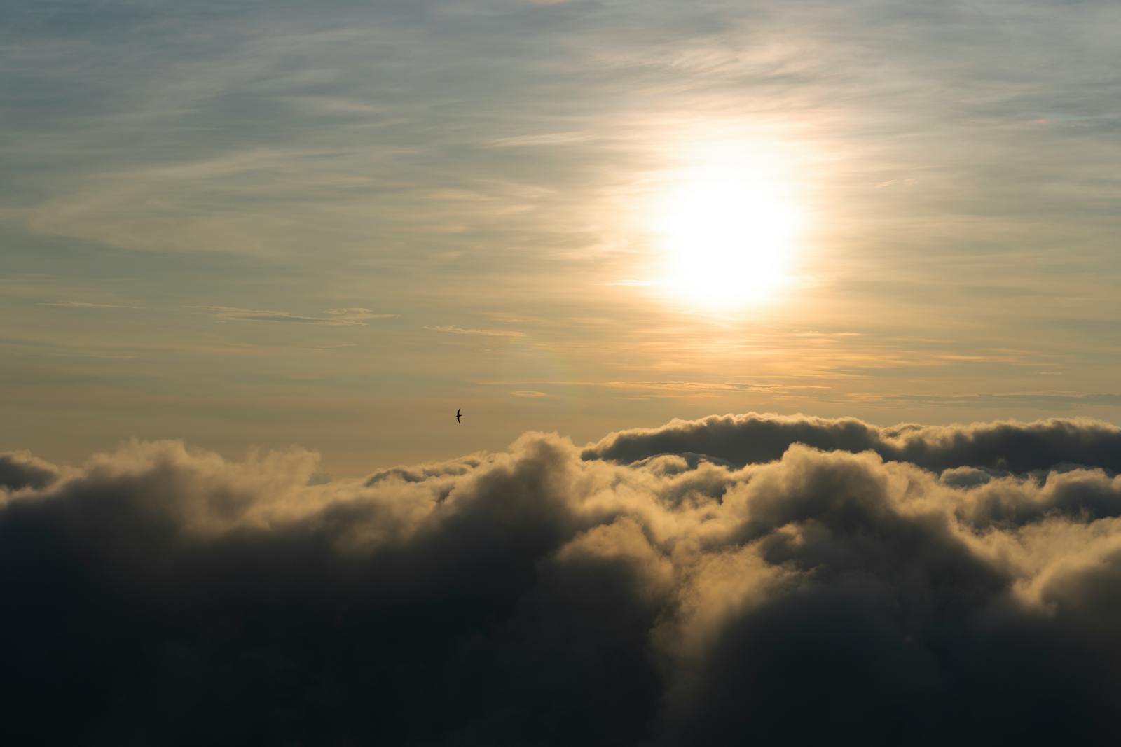 Stunning sunset over clouds with a bird silhouetted in Berlín, El Salvador.