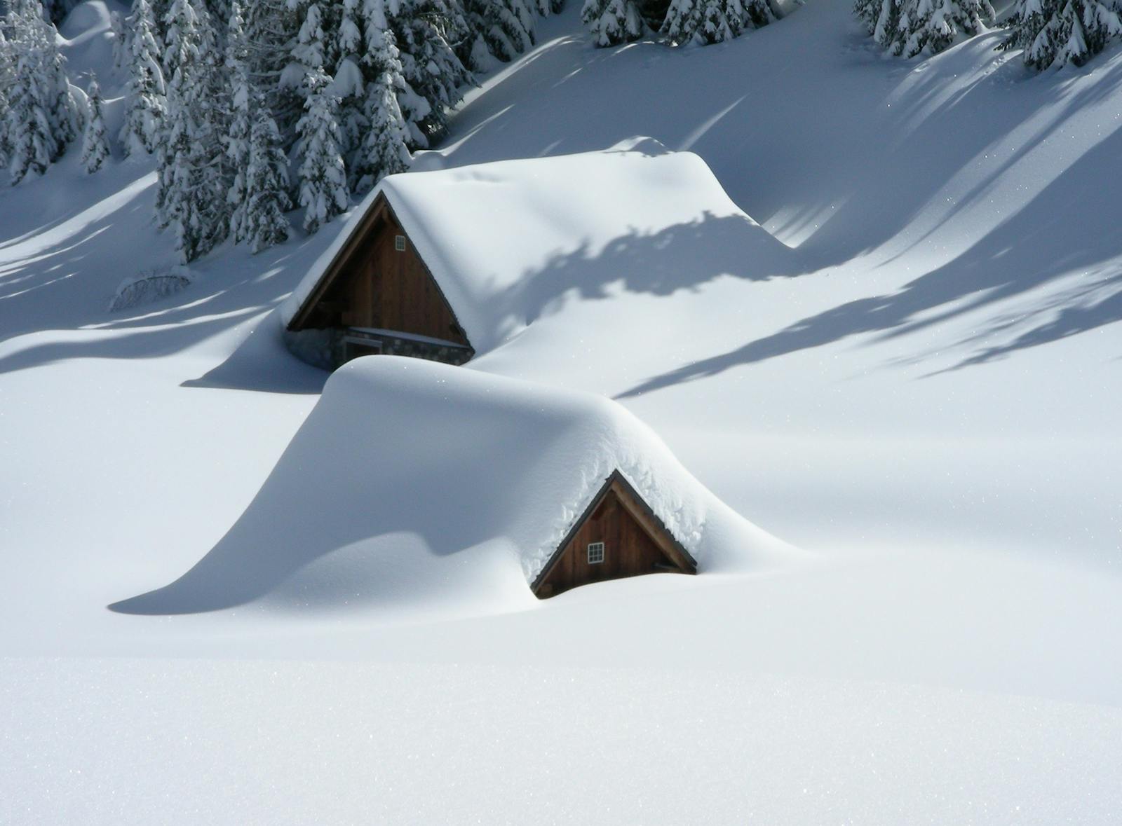 Peaceful snow-covered cabins nestled in a winter forest landscape. Ideal for seasonal wallpapers and nature lovers.