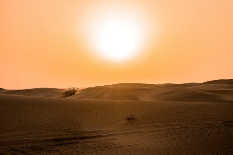 2024 Is The Hottest Year In History Again