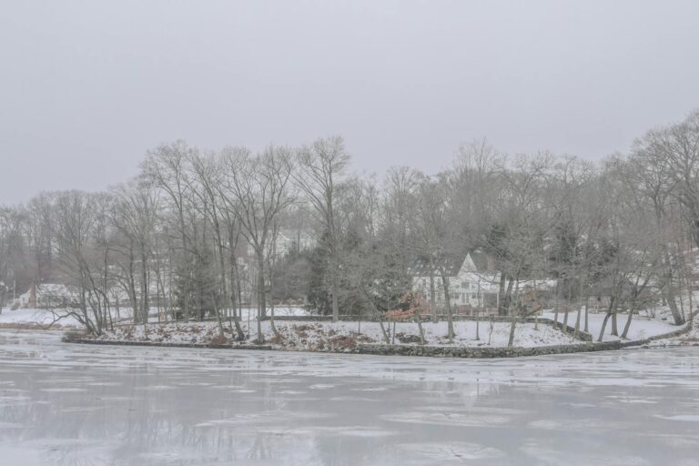 Free stock photo of darien, february, fog