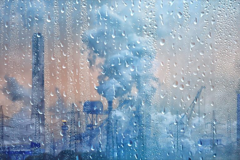 Will Acid Rain Return To America as Trump Rolls Back Environmental Protections?