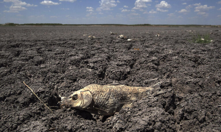 Earth’s Soil Drying Up, Damage May Be Permanent