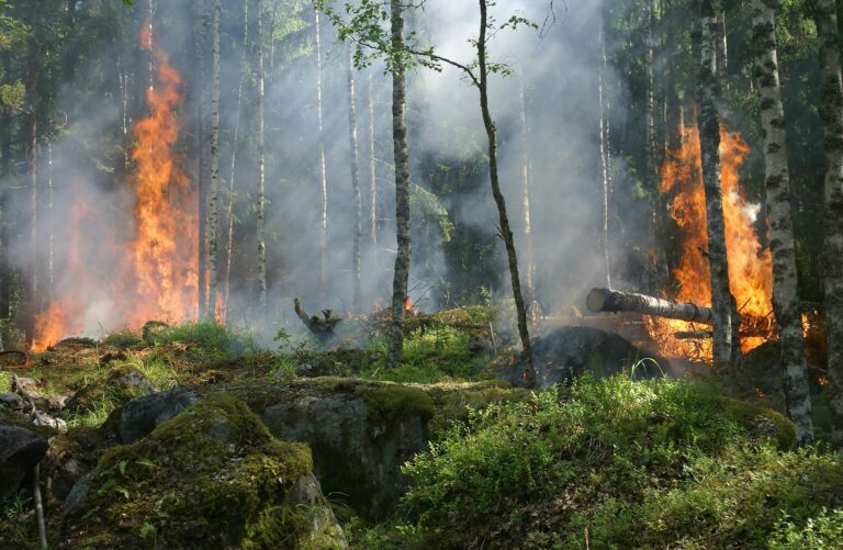 Raging Eastern Wildfires Could Be Worse Than LA