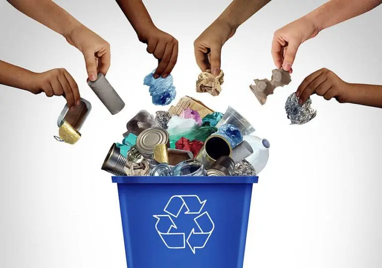 On Earth Day, “Eco-Guilt” Is on the Rise In America