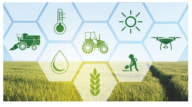 Breakthrough in Agricultural Science Could Help Cut Global Carbon Emissions