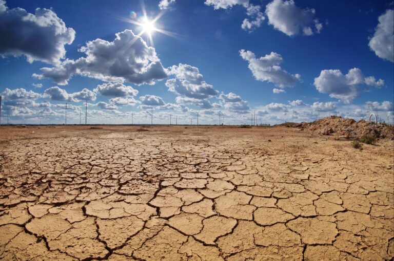 Extreme Drought Threatens Nebraska’s Vital Corn and Soybean Production