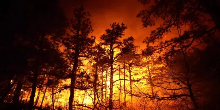 New Jersey Faces Worst Wildfire in 20 Years Amid Drought and Heat