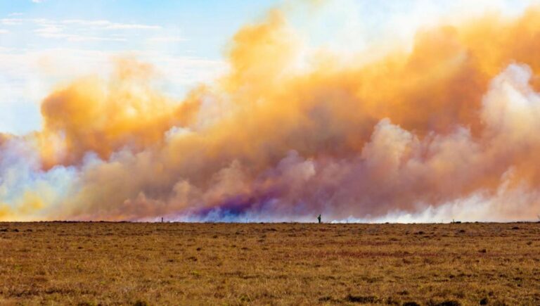 Wisconsin Experiences Record Number of Wildfires