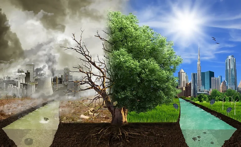 Trump’s Actions Have Hurt Climate Solutions, But Can These Setbacks Be Reversed?