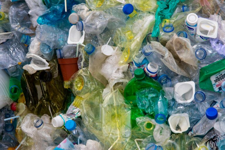People Have Five Bottle Caps Of Plastic In Their Brains