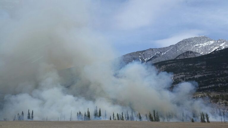 US Wildfire Damage Jumps 650%