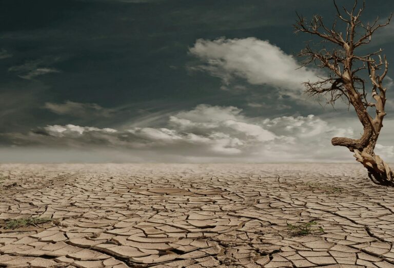 People Care About Climate Change If Someone Tells Them