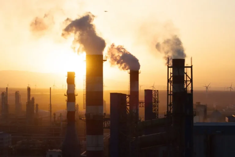 Do Men or Women Drive More pollution? See What a New Study Says