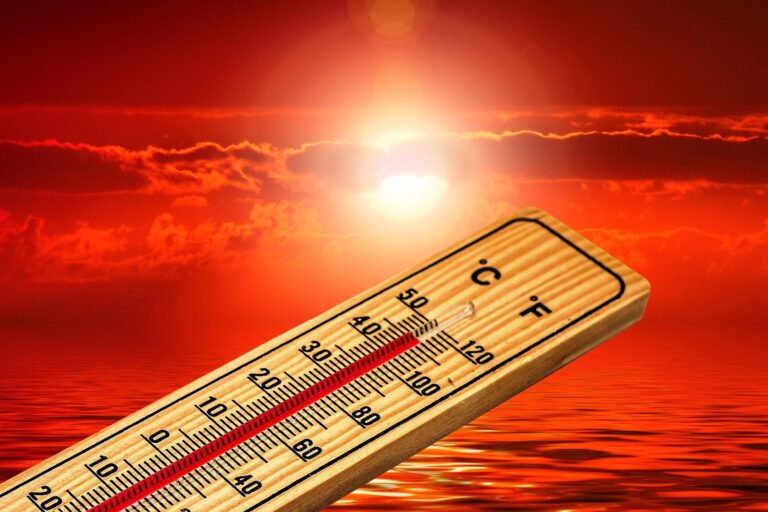 Early Extreme Heat in Phoenix Disrupts Economy and Threatens Public Health