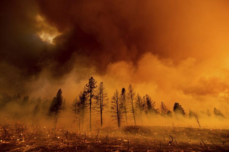 Smoke Sickens People In Their Homes