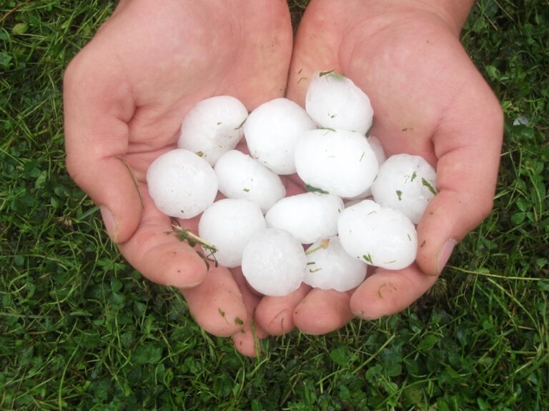hail, ice rain, big, hailstones, frozen drops, weather, ice, storm, cold, summer, meteorology, precipitation, hailing, severe, balls, hand, hail, hail, hail, hail, hail