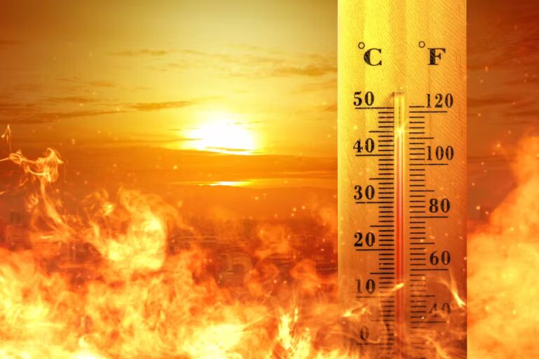 Extreme Heat in Asia and the Middle East Sparks Alarming Climate Survival Crisis