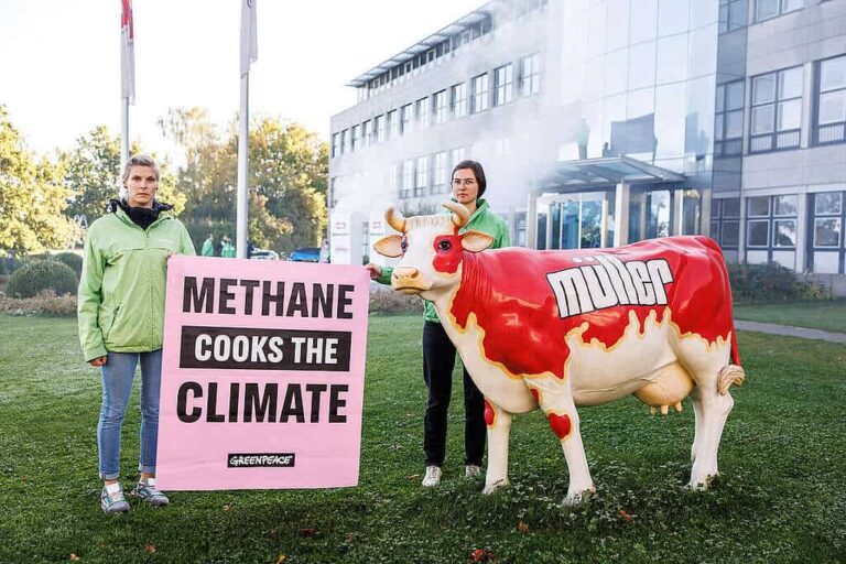 Big Dairy Companies Ignoring Methane Emissions From Their Cows